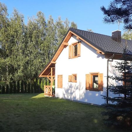 Domek Caloroczny Nad Jeziorem Budzislawskim, Wielkopolska Na Wynajem Anastazewo Exterior foto