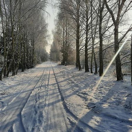 Domek Caloroczny Nad Jeziorem Budzislawskim, Wielkopolska Na Wynajem Anastazewo Exterior foto